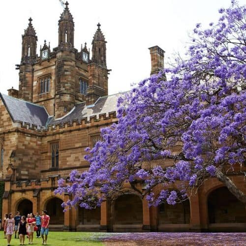 University of Sydney